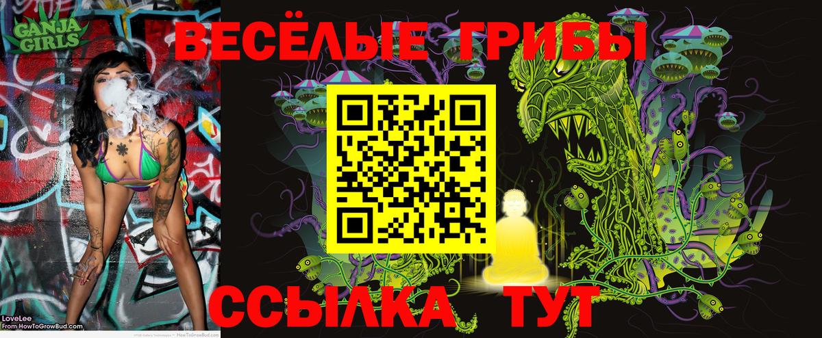 Псилоцибиновые грибы прущие грибы  Вход с VPN  Гулькевичи 